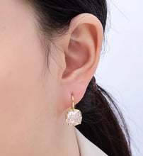 Load image into Gallery viewer, Large Sparkle Earrings
